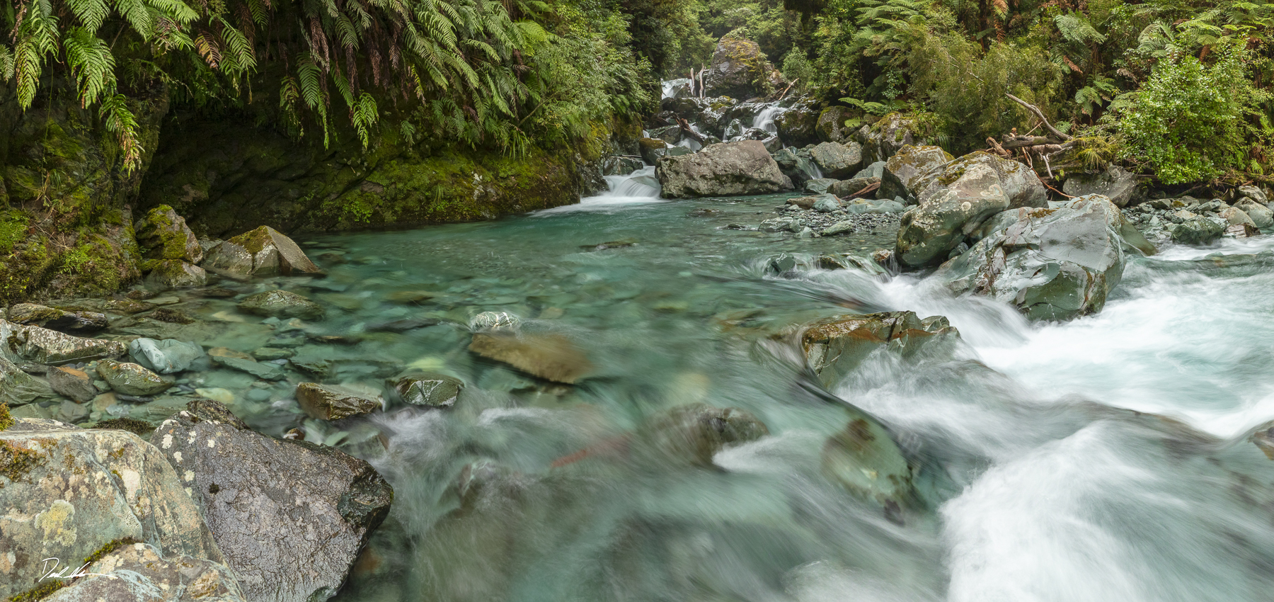 River in New Zealand forest