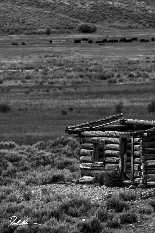 Log cabin on desert ranch
