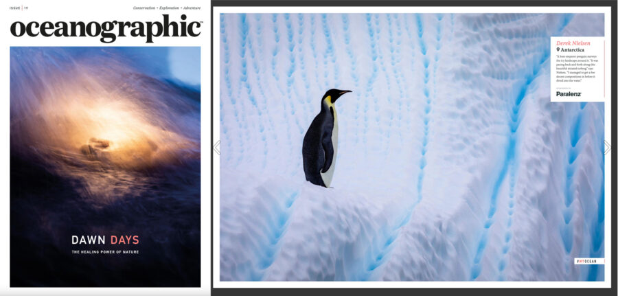 image of one of Derek Nielsen's award winning photographs in Oceanographic Magazine 