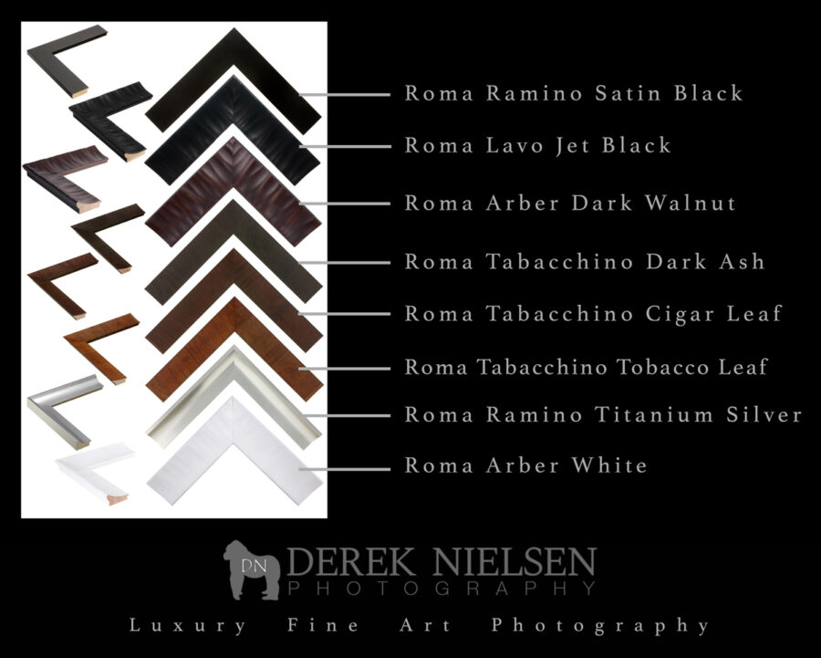 image of various Roma Frames Derek Nielsen Photography sells with his fine art photography