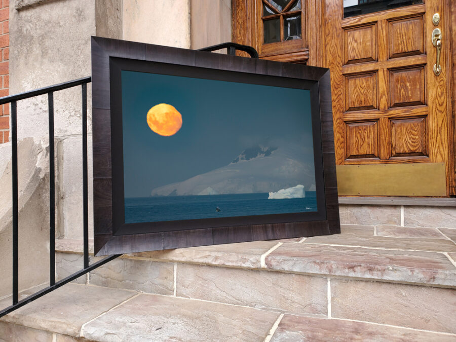 image of a full moon rising over Antarctica with a whale jumping displayed in a dark wood Roma frame sitting on the steps to a building