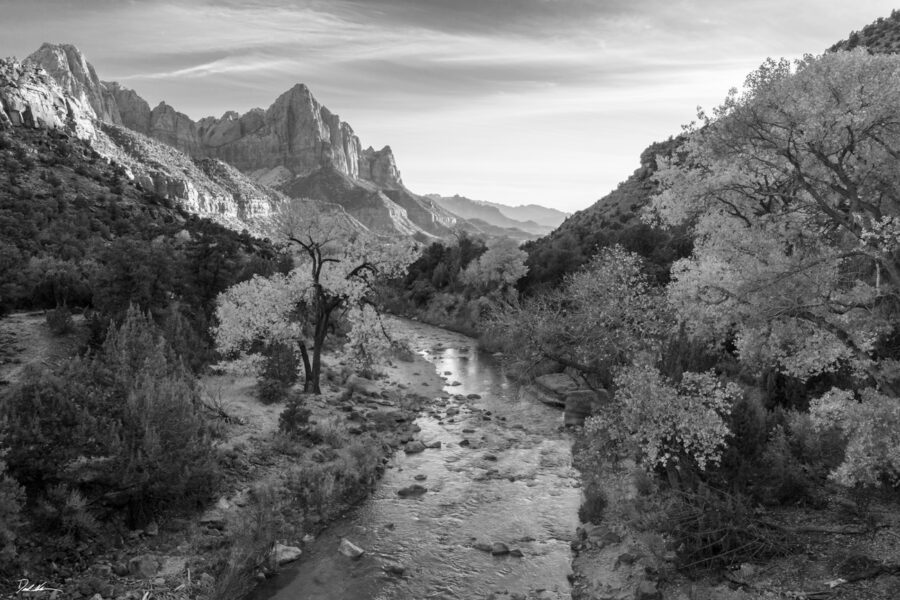 Black and white image of the Watchman mountain inside of Zion National Park