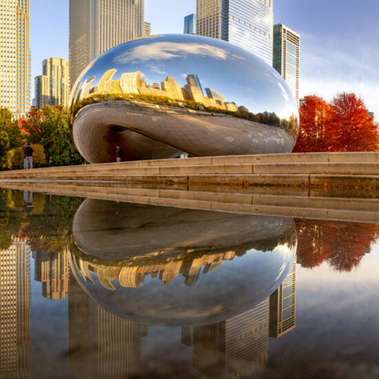 Fine art image of Chicago Bean