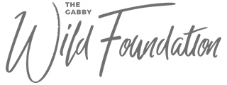 Gabby Wild Foundation Light