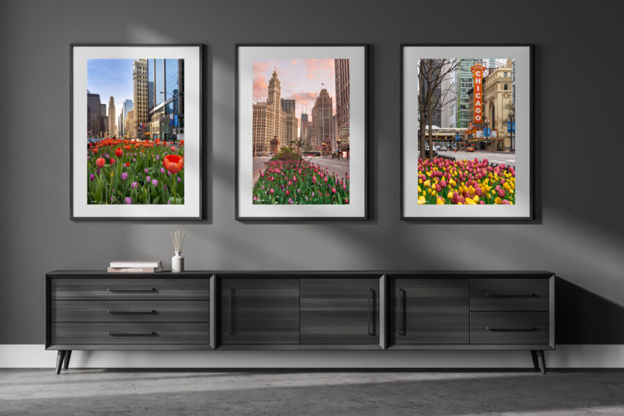 Multiple framed vertical fine art images showing tulips in Chicago displayed above a desk in a modern home