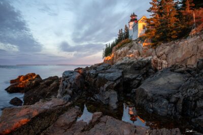 Acadian Light