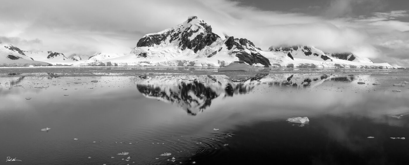Antarctic perfection bw 48in