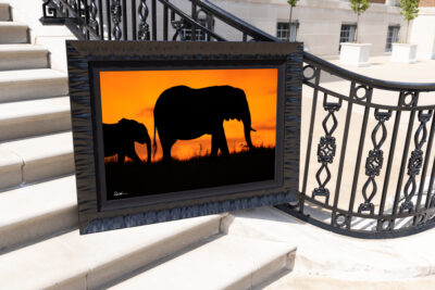 Glowing Serengeti actual frame