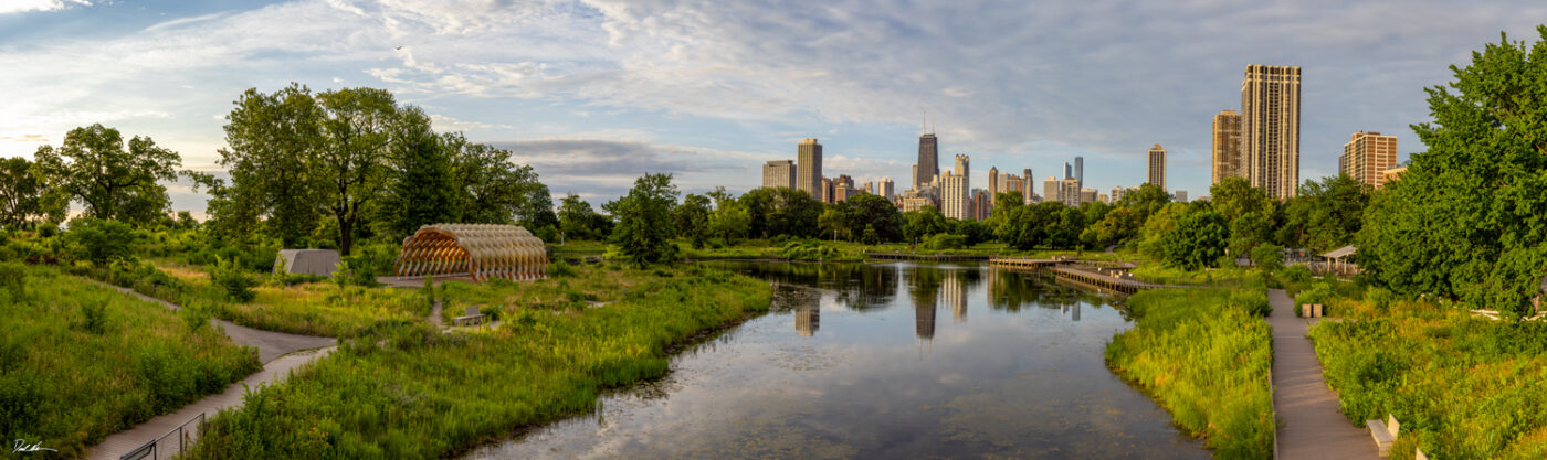 Lincoln Park lagoon with lush green plants