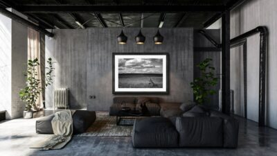 zebras framed in living room