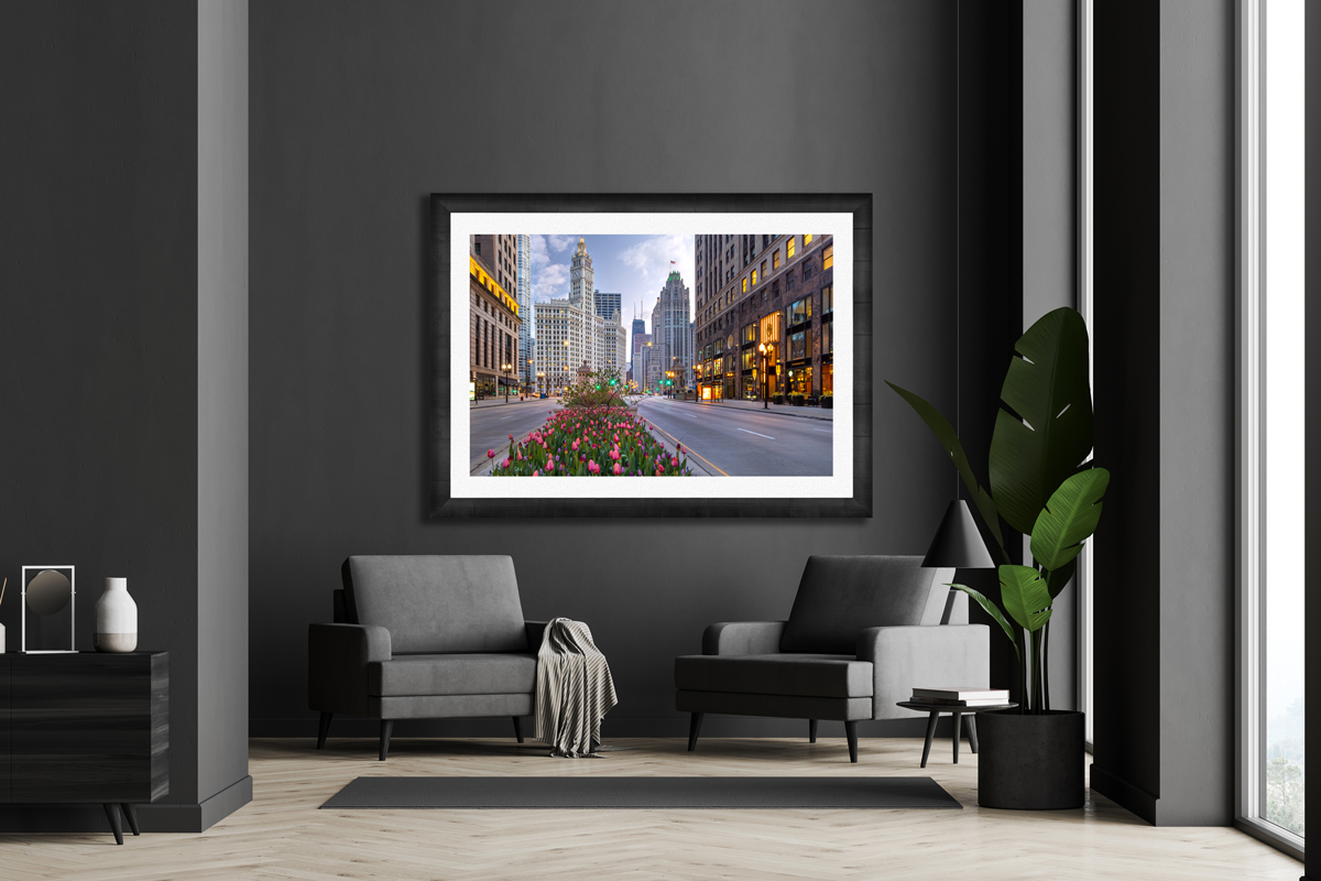 Photo of tulips on Michigan Avenue in Chicago framed on display in a modern luxury home