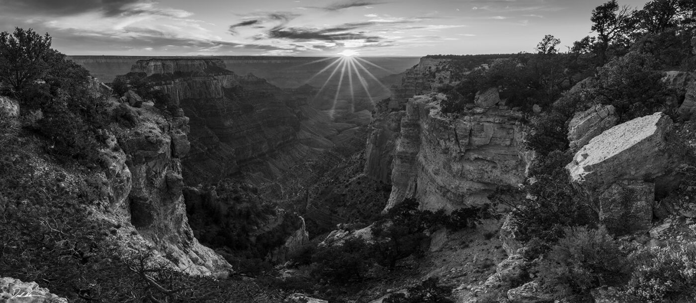 Not Afraid of the Darkness watermark