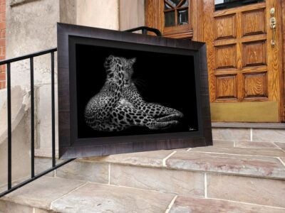 leopard photo displayed outside a luxury home