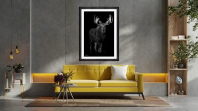 moose print