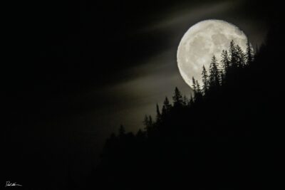 moon rising over yellowstone