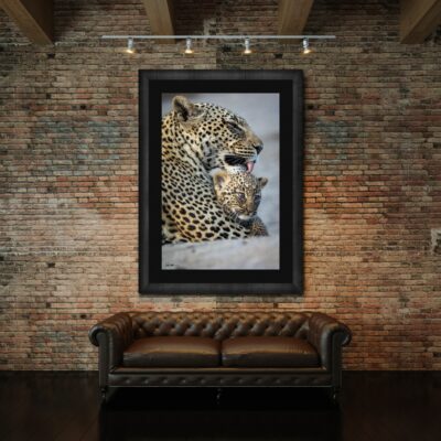 image of a mother leopard bathing her cub displayed above a couch in a luxury apartment