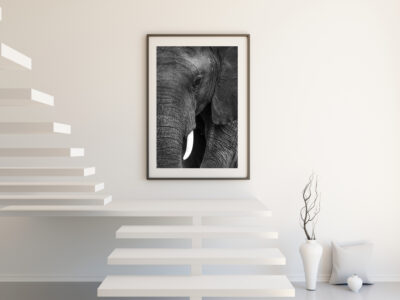 fine art abstract print of an elephant displayed in a luxury modern home