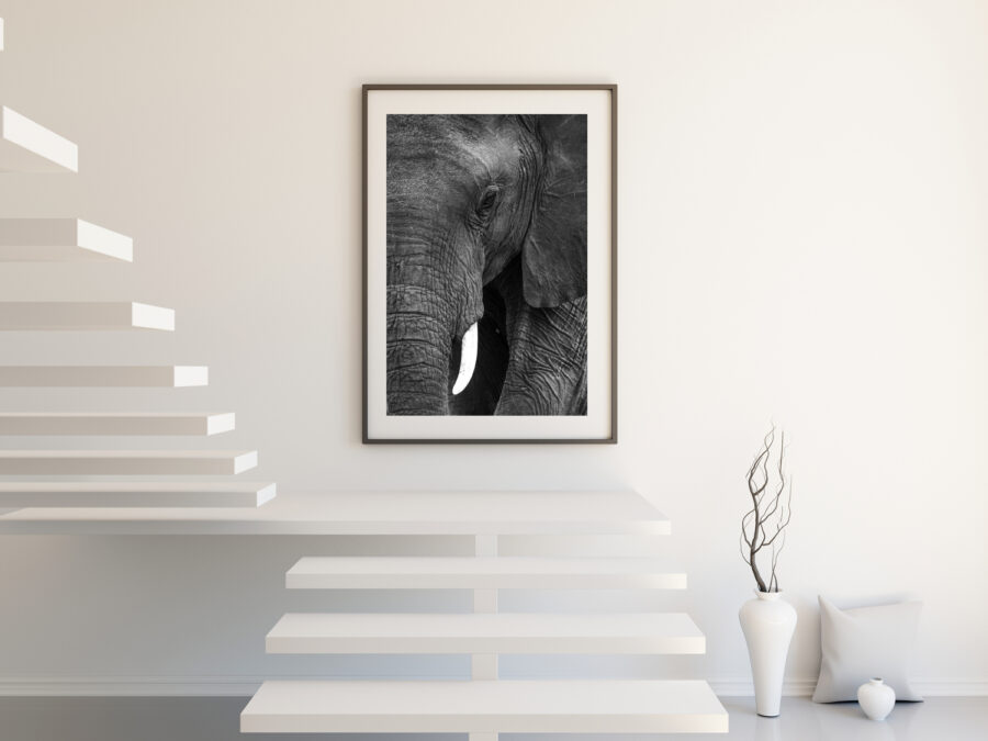 fine art abstract print of an elephant displayed in a luxury modern home 