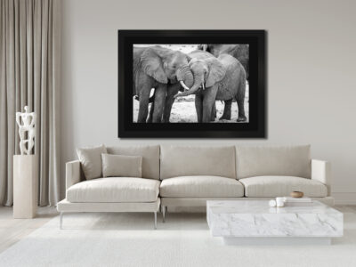 elephant hug framed