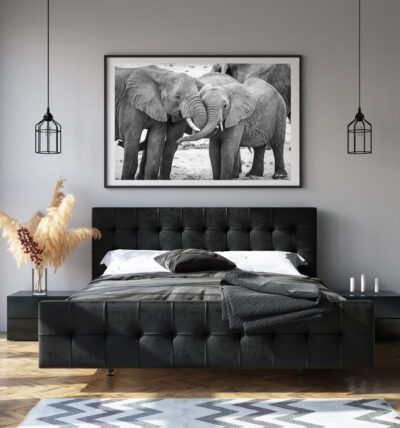 elephant hug thin frame