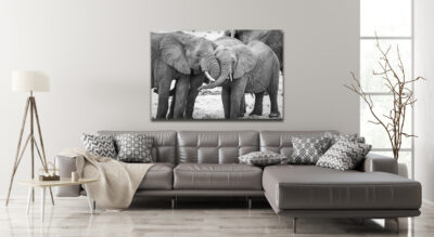 elephant hug unframed