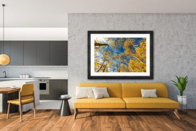 fall in bloom framed living room