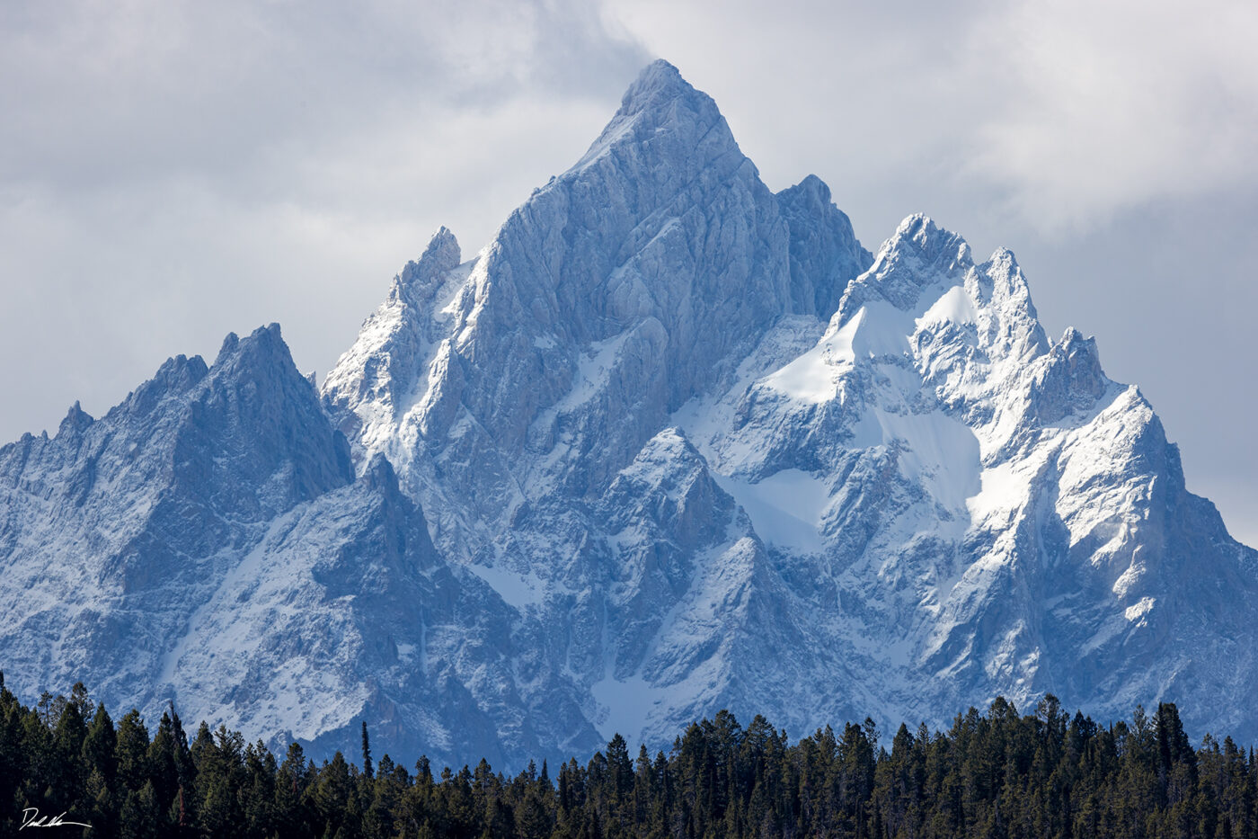 high above the teton trees watermark