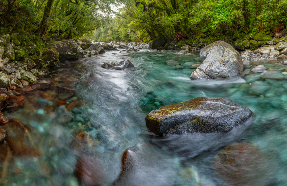 image of a beautiful clean river in New Zealand