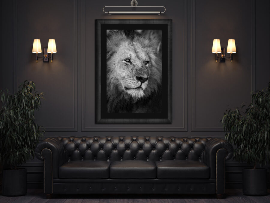 image of a lion displayed in a dark frame in a moody lounge