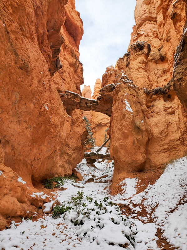 Image of two bridges landmark in slot canyon