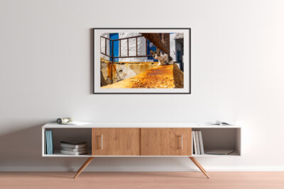 Large framed image of a cat in Greece displayed in the hallway of a modern home