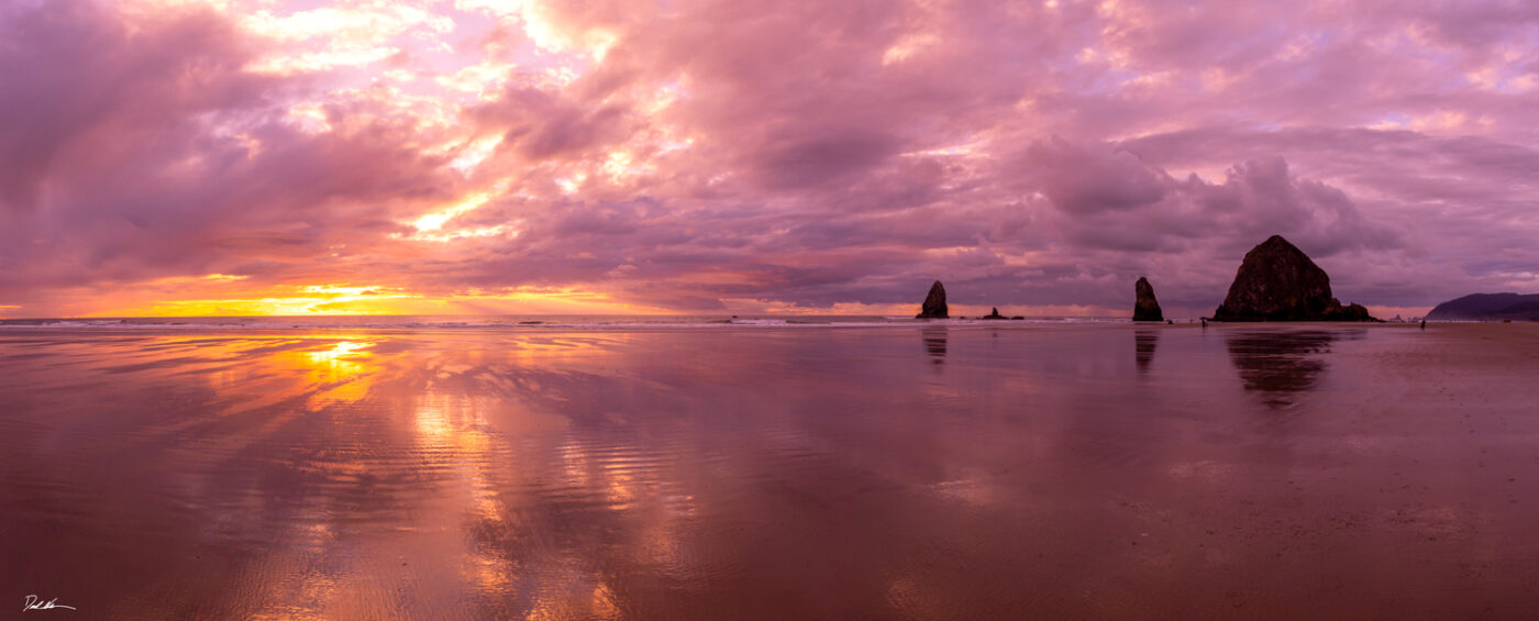 beautiful panoramic image of Canon Beach in Oregon at sunset with a reflection of the pink sky on the wet sand