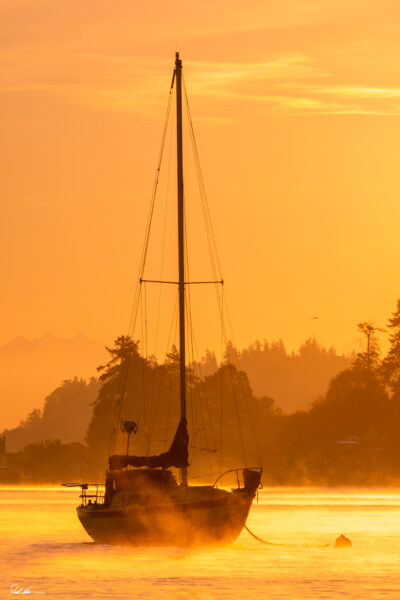 image of a sailboat in Langley Harbor Washington during sunrise with mist coming off the ocean