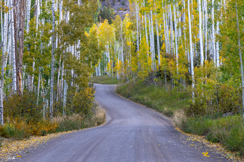 image of a beautiful mountain road in Telluride Colorado during fall colors