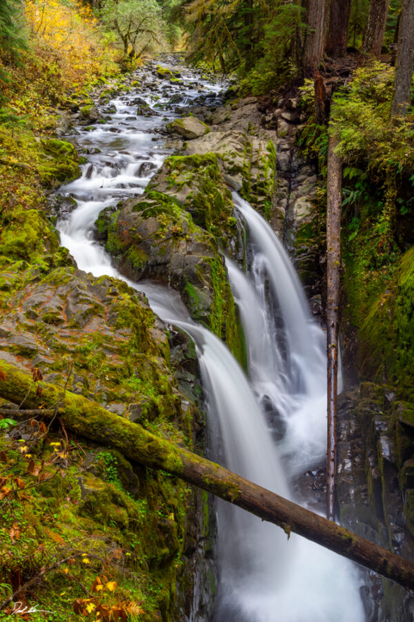 image of Sol Duc Falls in Olympic National Park in Washington State