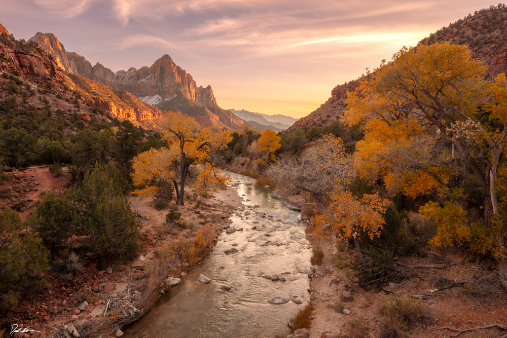 image of The Watchman mountain in Zion National Park during sunset over a river with fall colors