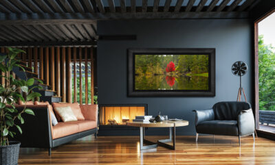 Large framed panoramic fine art print of a red maple tree displayed in the living room of a modern home