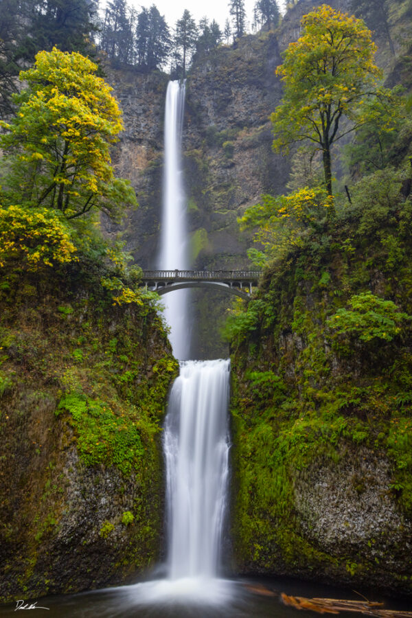 vertical image of Multnomah Falls in Oregon with fall colors starting to show in the surrounding trees
