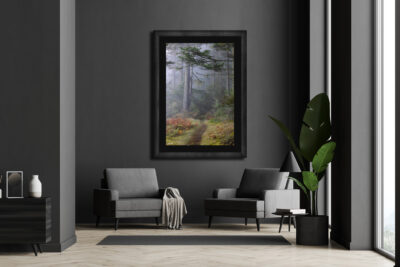 Large framed fine art print of a foggy forest scene on San Juan Island displayed in the living room of a luxury apartment
