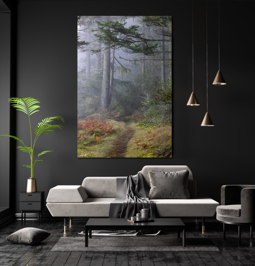 Large unframed fine art print of a foggy forest in the Pacific Northwest displayed in the living room of a modern home
