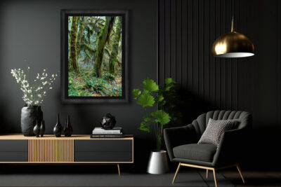 image of a large framed fine art print of trees covered in moss inside Olympic National Park displayed in the living room of a luxury home