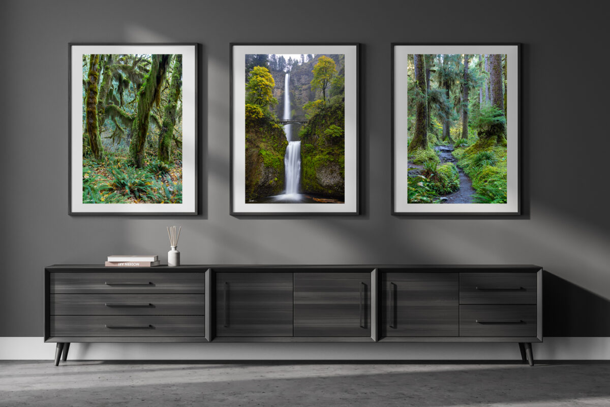 set of three fine art prints showing lush green landscapes from the Pacific Northwest displayed in the hallway of a modern luxury home