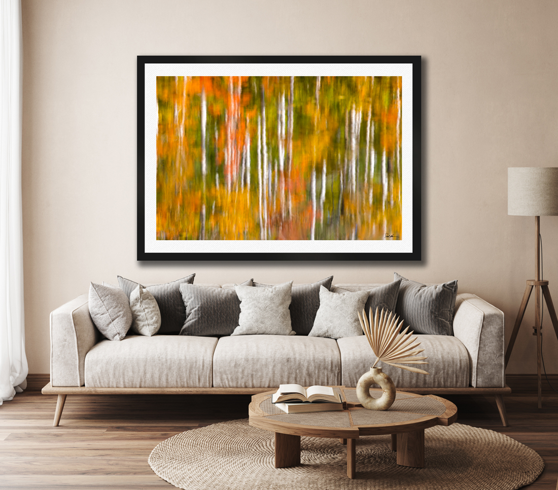 large framed fine art print of aspen trees reflected off a lake displayed in the living room of a modern home