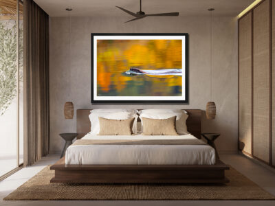 large framed fine art print of an otter swimming across a lake with fall colors displayed in the bedroom of a modern hotel