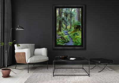 Large framed fine art vertical print of a hiking trail in Olympic National Park displayed in the living room of a luxury home