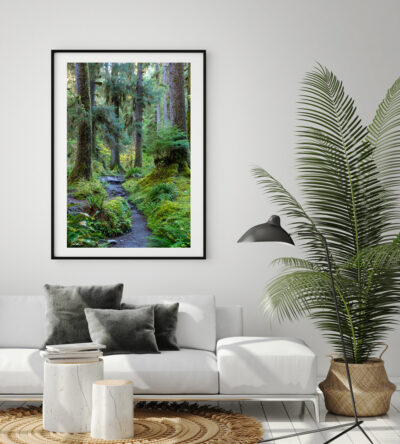 thin framed fine art print of a forest in Olympic National Park displayed above the couch in a living room