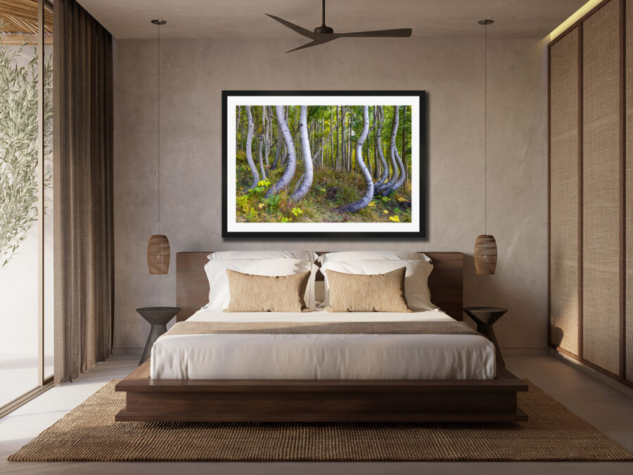 large framed fine art print of twisting aspen trees in Telluride Colorado displayed above the bed in a luxury hotel