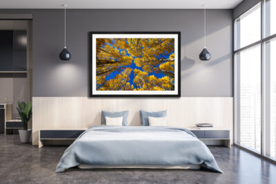 Large framed fine art print of aspen trees displayed in the bedroom of a modern luxury condo
