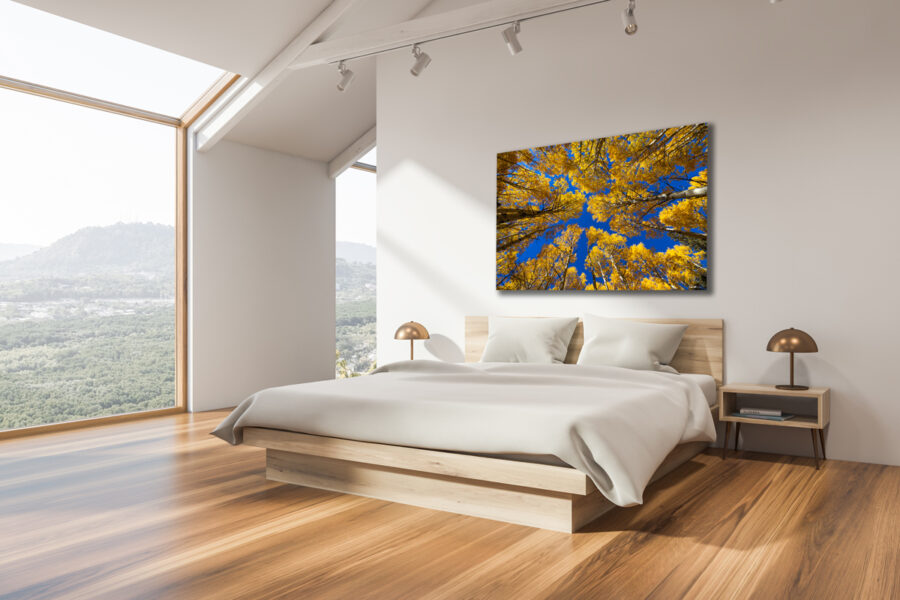Fine art photograph of aspen trees hangning in a luxury home