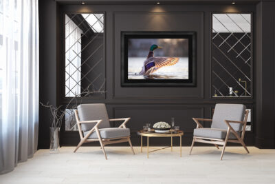 large framed fine art print of a mallard duck displayed in the living room of a modern luxury home